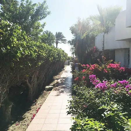 Luxury Bungalow Dunes Of Maspalomas - Gran Canaria * Playa del Inglés
